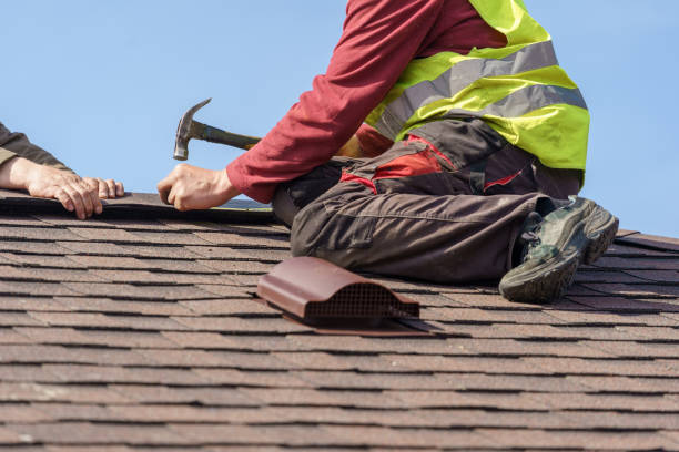 Best Roof Gutter Cleaning  in Raceland, KY