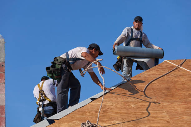 Best Roof Replacement Cost  in Raceland, KY