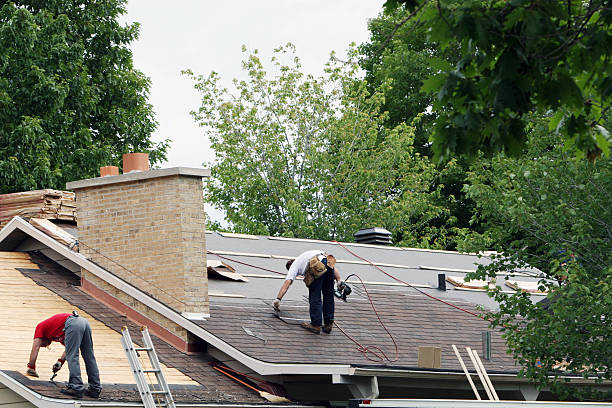 Best Roof Waterproofing Services  in Raceland, KY