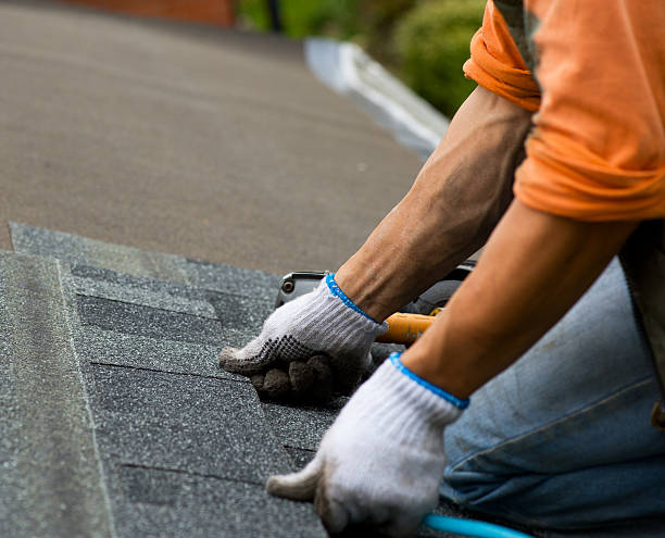 Best Residential Roofing Contractor  in Raceland, KY