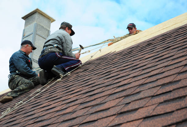 Best Best Roofing Contractors  in Raceland, KY